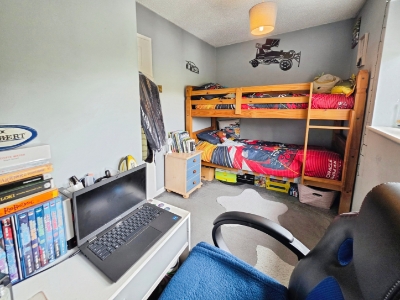 Picture 15